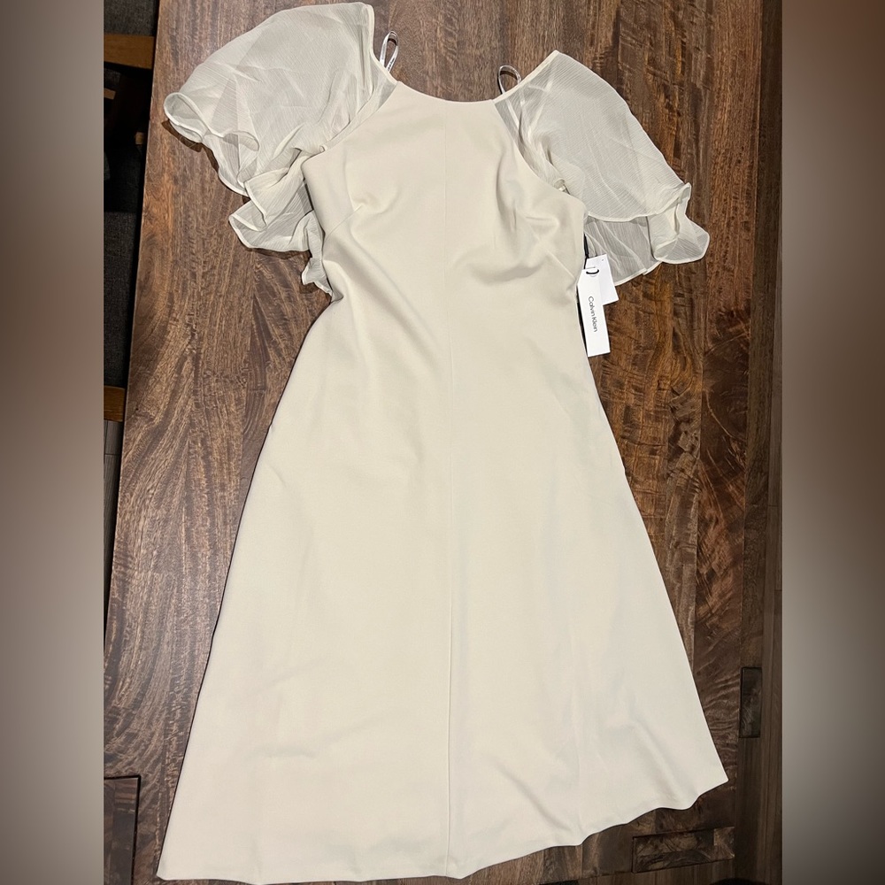 Rare Calvin Klein Beautiful Sheer Sleeves Dress
